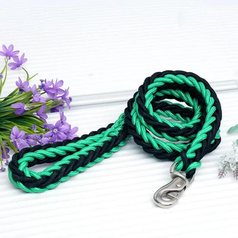 Heavy Duty Nylon Dog Leash and Adjustable Collar Set Army Green