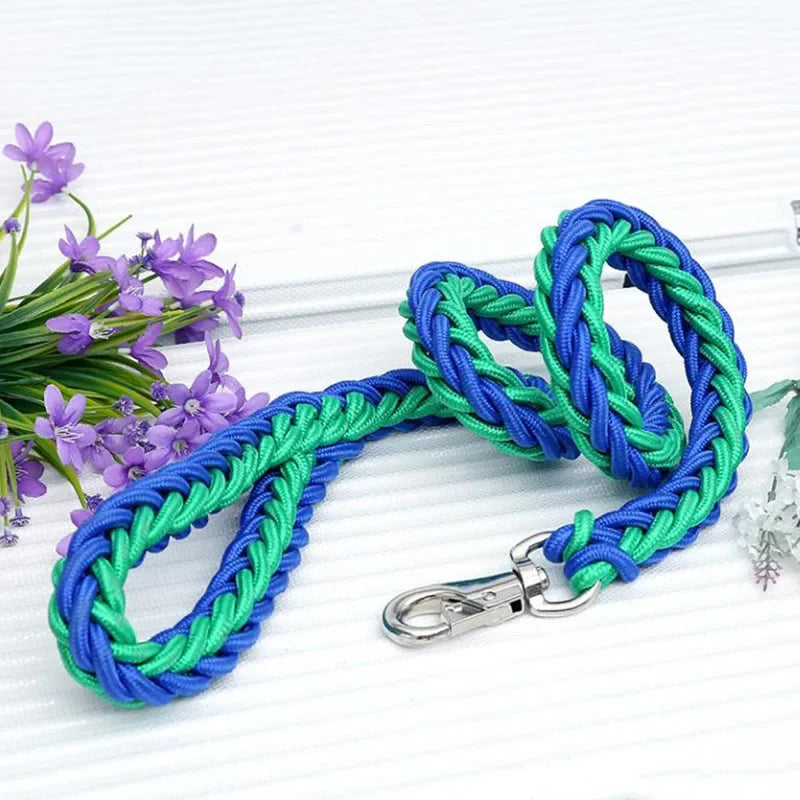 Heavy Duty Nylon Dog Leash and Adjustable Collar Set Army Green