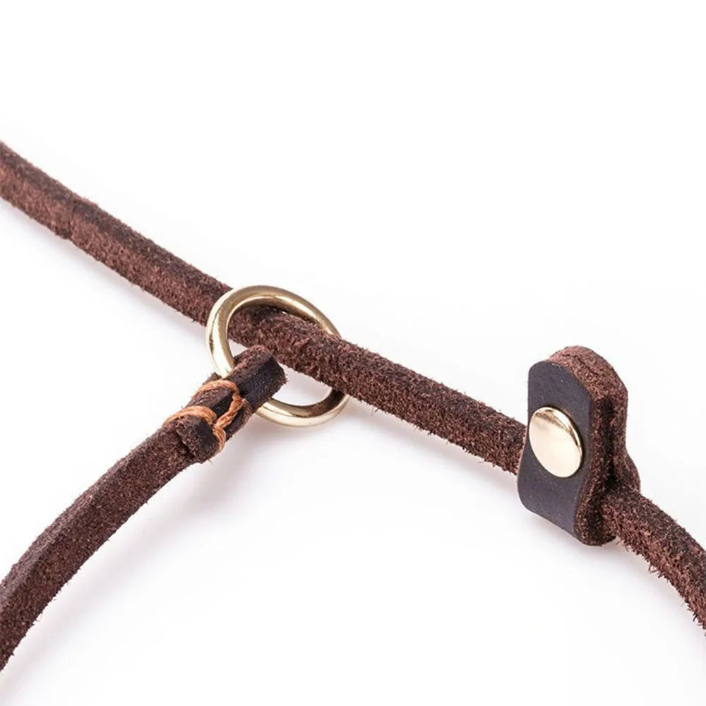 Soft Genuine Leather Dog Slip Lead No Pull Training Leash